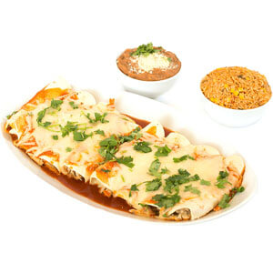 Fresh2GO Family Meal Chicken Enchilada